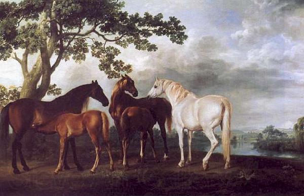 George Stubbs Mares and Foals in a Landscape Spain oil painting art
